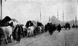 Муслиманске избеглице у Истанбулу током Балканских ратова, 1912.