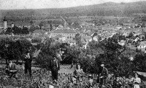 Поглед на Лозницу из Грујчића винограда из 1907.