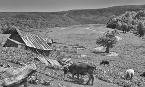 Катун, Биоградска гора, Црна Гора