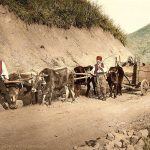 Сеоска запрежна кола, између 1890. и 1900. (фото Library of Congress)