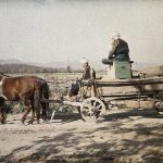 Запрега, Мостар, 21. октобар 1912. (фото www.albert-kahn.hauts-de-seine.fr)