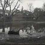 Место прекривено барама, Ресен, мај 1913. (фото www.albert-kahn.hauts-de-seine.fr)