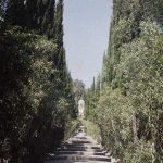 Вила Ахилион, вртови, Крф, 3. октобар 1913. (фото www.albert-kahn.hauts-de-seine.fr)