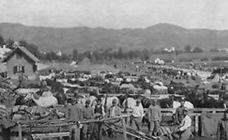 Црна књига 10