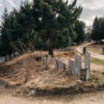 Група крајпуташа поред гробља на Спасовњачи, Ужице (фото Бојан Радојичић)