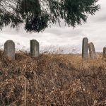 Крајпуташи поред гробља на Спасовњачи, Ужице (фото Бојан Радојичић)