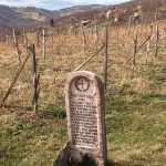 Крајпуташ Тикомиру Ђоковићу (фото Бојан Радојичић)