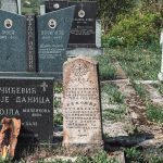 Споменик Радомиру Вучићевићу на гробљу у Товарници, Гостиница (фото Бојан Радојичић)