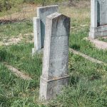 Споменик Десимиру Чекићевићу на гробљу у Товарници, Гостиница (фото Бојан Радојичић)