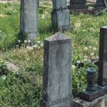 Споменик Владу Чекићевићу на гробљу у Товарници, Гостиница (фото Бојан Радојичић)