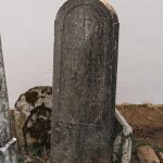 Споменик Драгићу Даничићу на Ковачевића гробљу, Рибашевина (фото Бојан Радојичић)