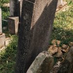 Споменик Драгићу Даничићу на Ковачевића гробљу, Рибашевина (фото Бојан Радојичић)