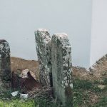 Споменик Радомиру Лазићу на Ковачевића гробљу, Рибашевина (фото Бојан Радојичић)