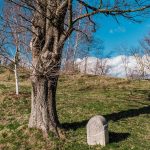 Крајпуташ Радовану Ђуричићу на Кадињачи (фото Бојан Радојичић)