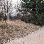 Крајпуташ Љубомиру Томашевићу на Кадињачи (фото Бојан Радојичић)