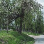 Крајпуташ Андрији Крсмановићу у Карану (фото Бојан Радојичић)