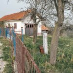 Крајпуташ Јовану Прљевићу у Љубањама (фото Бојан Радојичић)
