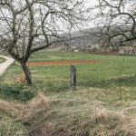 Крајпуташ Ранку Терзићу у Светосавској улици у Никојевићима (фото Бојан Радојичић)