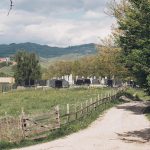 Гробље у засеоку Ерчугићи у Рибашевини (фото Бојан Радојичић)