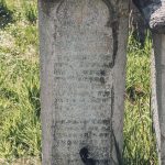 Споменик Драгисаву Дикановићу на гробљу у засеоку Ерчугићи у Рибашевини (фото Бојан Радојичић)