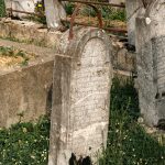 Споменик Николи Ћирковићу на гробљу у Дубљанима, Рибашевина (фото Бојан Радојичић)