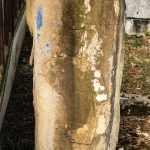Споменик Благоју Дубљанину на гробљу у Дубљанима, Рибашевина (фото Бојан Радојичић)