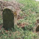 Крајпуташи поред локалног пута у Рибашевини (фото Бојан Радојичић)