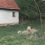 Крајпуташи поред локалног пута у Рибашевини (фото Бојан Радојичић)