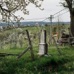 Крајпуташ Радисаву Танасијевићу у Рибашевини, Губин До (фото Бојан Радојичић)