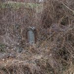 Крајпуташ Радовану Радовановићу у Сињевцу (фото Бојан Радојичић)
