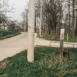 Крајпуташ Радомиру Трифуновићу на Забучју, Ужице (фото Бојан Радојичић)