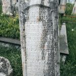 Споменик Милинку Јанковићу на гробљу у Рочњаку, Биоска (фото Бојан Радојичић)