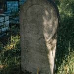Споменик Милутину Папићу на гробљу у Ћетеништу, Буар (фото Бојан Радојичић)