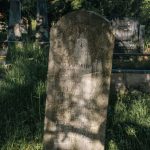 Споменик Драгомиру Папићу на гробљу у Ћетеништу, Буар (фото Бојан Радојичић)