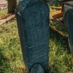 Споменик Драгомиру Папићу на гробљу у Ћетеништу, Буар (фото Бојан Радојичић)