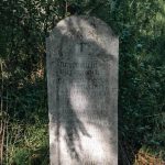 Споменик Петронију Мијатовићу на гробљу у Ћетеништу, Буар (фото Бојан Радојичић)
