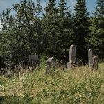 Гробље у Караклићима у Буару (фото Бојан Радојичић)