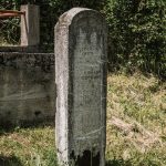 Споменик Велисаву Караклићу на гробљу у Караклићима у Буару (фото Бојан Радојичић)