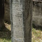 Споменик Велисаву Караклићу на гробљу у Караклићима у Буару (фото Бојан Радојичић)