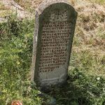 Споменик Борисаву Кремићу на гробљу у Караклићима у Буару (фото Бојан Радојичић)