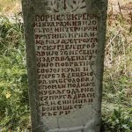Споменик Борисаву Кремићу на гробљу у Караклићима у Буару (фото Бојан Радојичић)