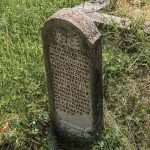 Споменик Борисаву Кремићу на гробљу у Караклићима у Буару (фото Бојан Радојичић)