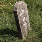 Споменик Борисаву Кремићу на гробљу у Караклићима у Буару (фото Бојан Радојичић)