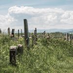 Гробље на Спасовњачи у Буару (фото Бојан Радојичић)