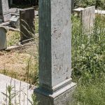 Споменик Тикомиру Остојићу на гробљу на Спасовњачи у Буару (фото Бојан Радојичић)
