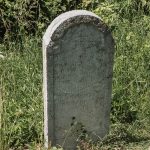Споменик Јовану Грујовићу на гробљу на Спасовњачи у Буару (фото Бојан Радојичић)
