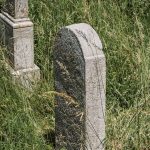Споменик Јовану Грујовићу на гробљу на Спасовњачи у Буару (фото Бојан Радојичић)