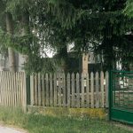 Гробље на потесу Батина вода, у Гостиници (фото Бојан Радојичић)