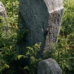 Споменик Владимиру Петровићу на гробљу у Јаковљевини, Гостиница (фото Бојан Радојичић)