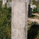 Споменик Ненаду Петровићу на гробљу у Јаковљевини, Гостиница (фото Бојан Радојичић)